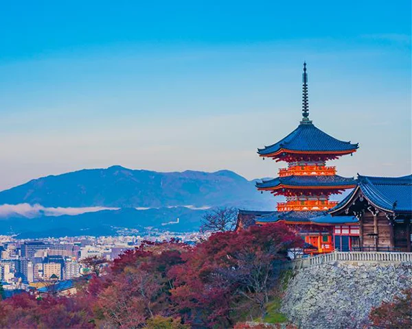 旅行・観光サービス