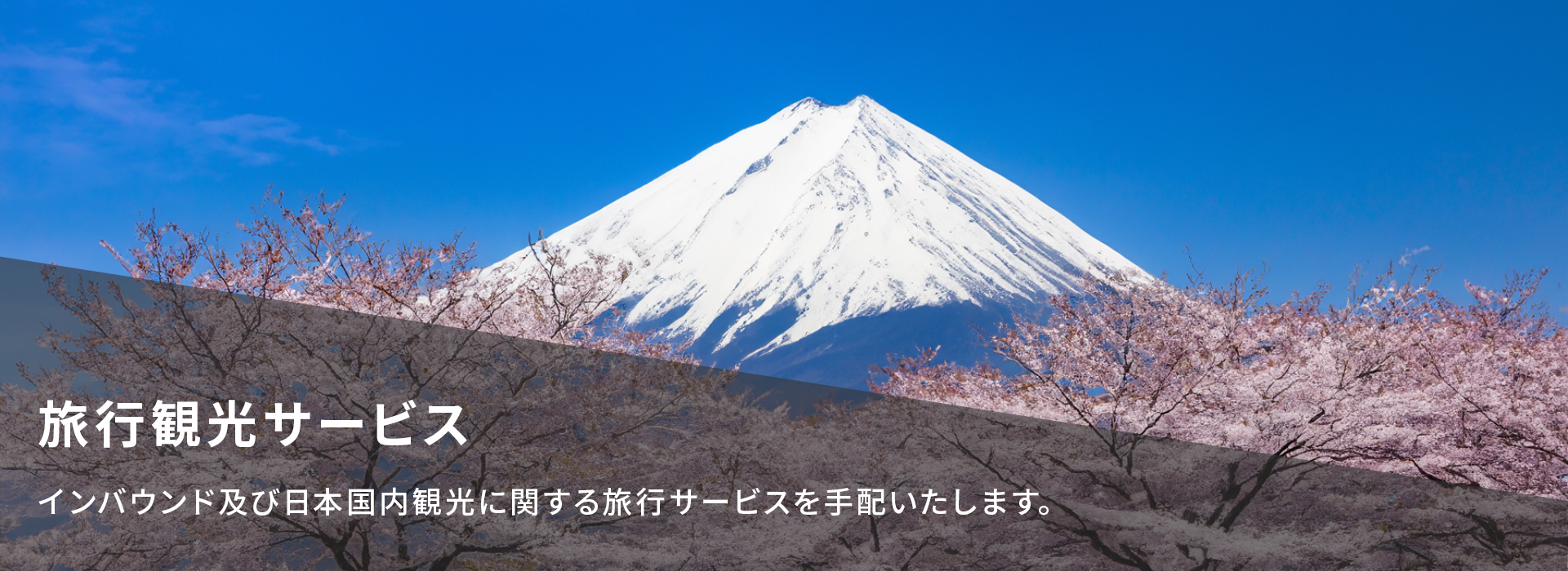 株式会社トップグローバル メイン画像4